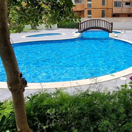 Arquus Center